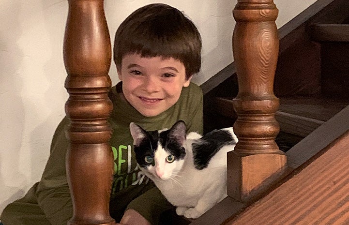 Child looking out from behind railings on stairs with a black and white kitten
