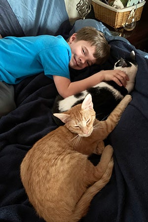 Harvey and Tres Leches the kittens lying next to a child