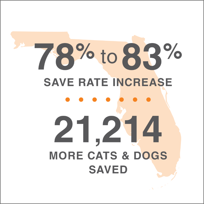 lifesavings statistics for Florida overlaid on an image of the state
