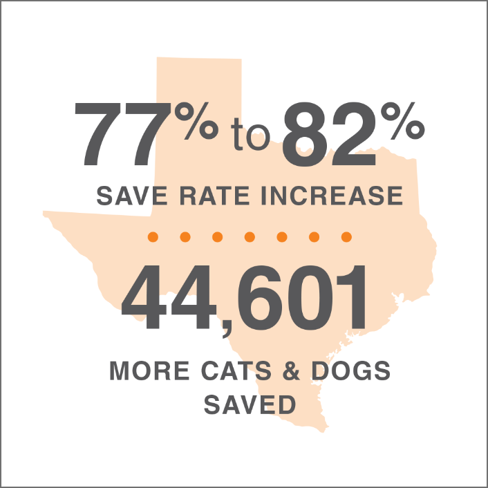 lifesavings statistics for Texas overlaid on an image of the state