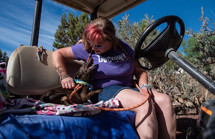 Person taking BoPeep the dog out for a golf cart ride