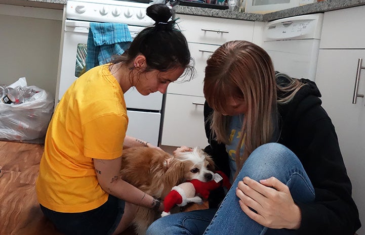 Pikito the dog holding plush toy out for two women sitting on the ground in a laundry room with him