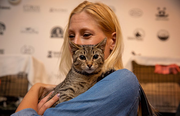 Woman holding a brown tabby cat
