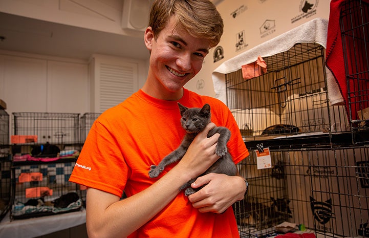 Jack the volunteer holding the small gray kitten his family adopted from the event