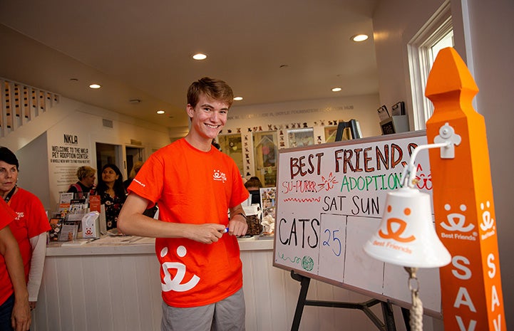Young volunteer Jack smiling and standing next to a bell and dry erase board listing the cat adoptions