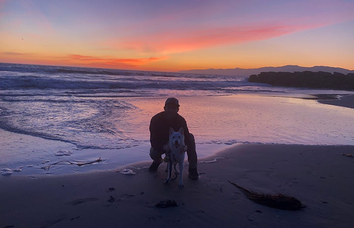 Man posing with Luna the dog at the beach with water and a lovely sunset behind them