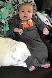 White cat Bentley lying next to a baby