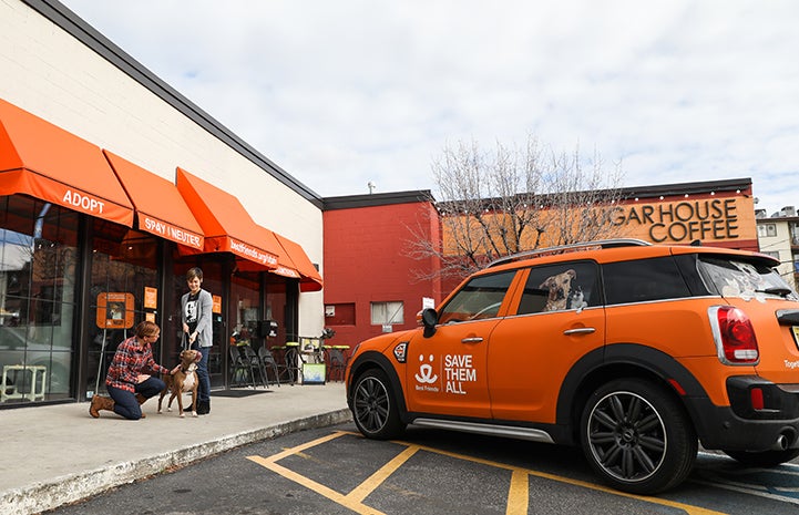 Salt Lake City’s Best Friends MINI Countryman is the go-to vehicle for picking up cats and kittens from area shelters