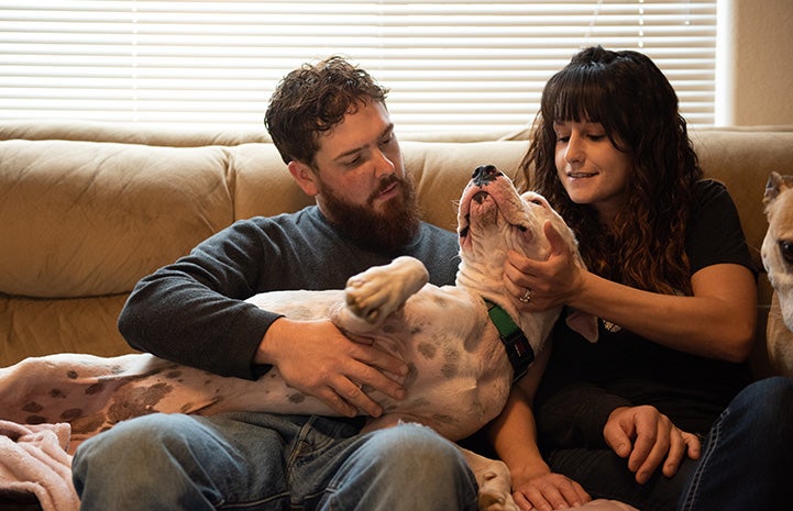 Foster parents Megan and Dan snuggling with Scamper the dog on a couch
