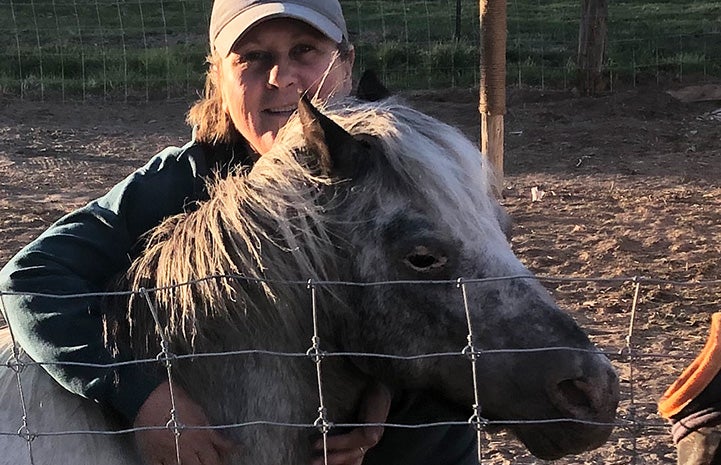 Mini Pony Goes Viral For Wearing Totally Over-the-Top Dressage - PetHelpful  News