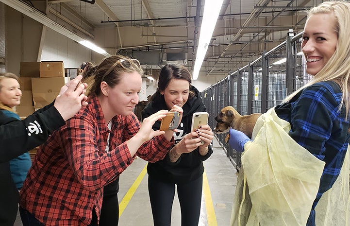 Smiling woman holding two puppies while multiple other people take pictures with their cell phones