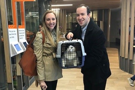 Titi the cat getting adopted in New York City