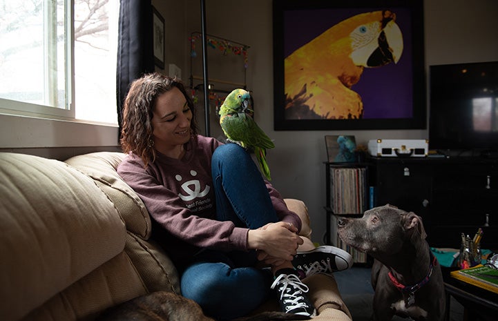 Amy sitting on a couch with Captain Turkey the parrot and a dog looking at them both