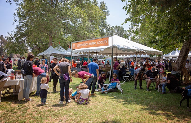 A tent with human and dog activity at the NKLA Pet Super Adoption