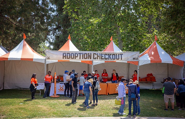 The Adoption Checkout tent area at the A tent with human and dog activity at the NKLA Pet Super Adoption event