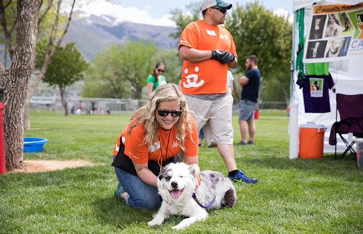 Volunteer in orange T-shirt petting a smiling border collie type dog at the May the 4th NKUT Super Adoption