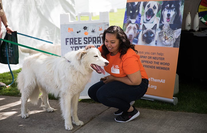 Woman wearing an orange Best Friends T-shirt squatting down to pet a white great Pyrenees dog with some signage behind her at the May the 4th NKUT Super Adoption