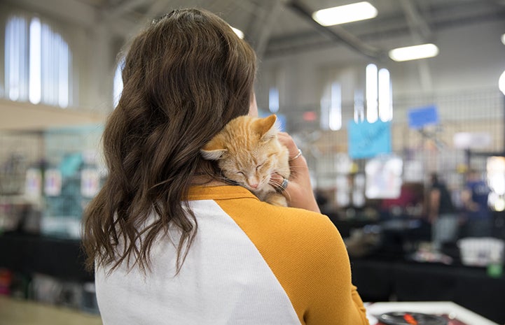 The back of a woman holding an orange tabby cat on her shoulder