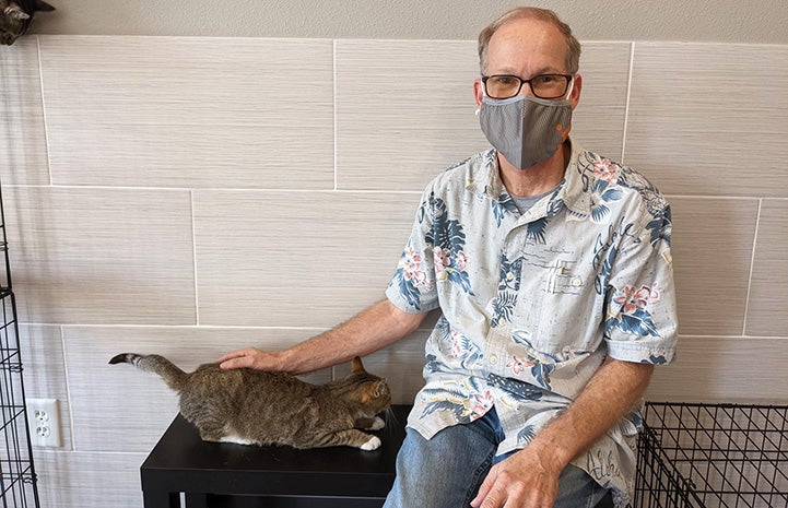 NWA volunteer Roger Rubien sitting down and petting a tabby cat