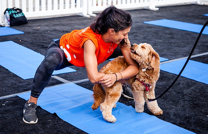Woman doing yoga on a blue mat while a dog looks up at her
