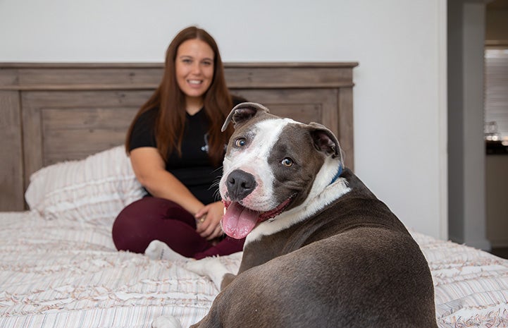Smiling person on a bed with her foster dog, who is also smiling