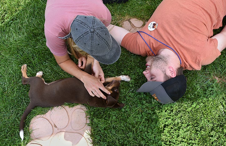 Puppy lying on his side in the grass next to two volunteers