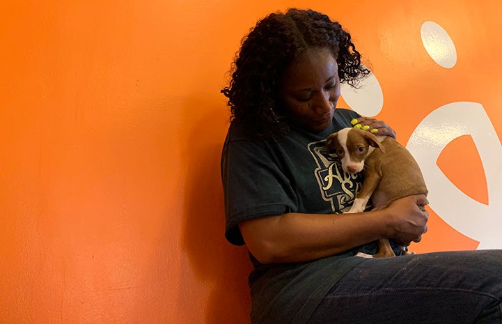 Volunteer Faye Robinson cradling a small puppy against her chest