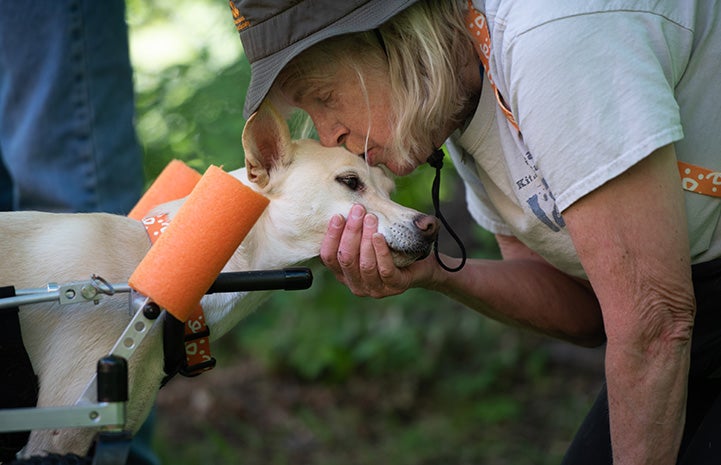 Woman giving a kiss to the top of Kit the dog's head