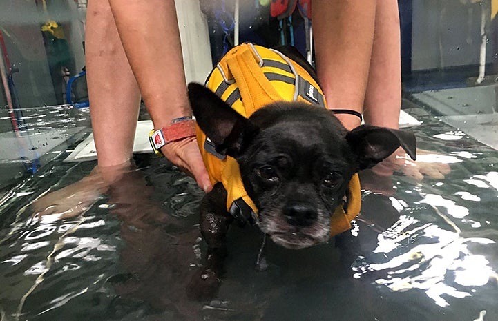 Hydrotherapy helps Wallis