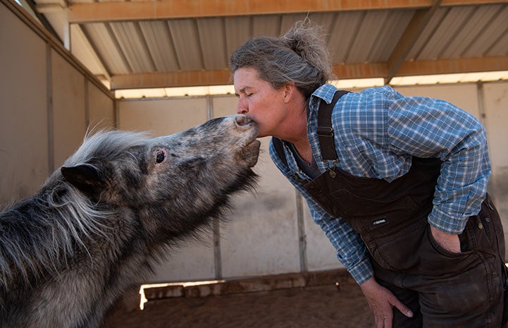Woman and a miniature horse leaning over to kiss each other