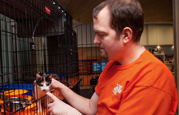 Volunteer Fabio Vitolla petting a small calico kitten in a kennel