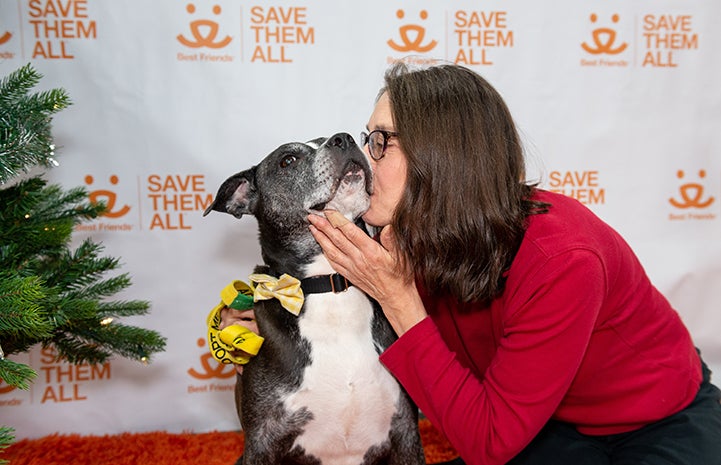 Woman giving a kiss to a pit-bull-type dog in front of a Best Friends backdrop and Christmas tree