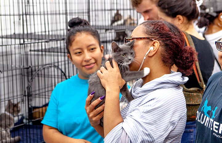 Woman holding a gray and white kitten while another woman looks at them at the New York cat adoption event