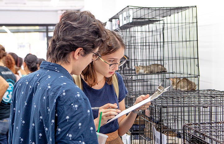 People filling out paperwork in front of some kennels containing cats at the New York cat adoption event
