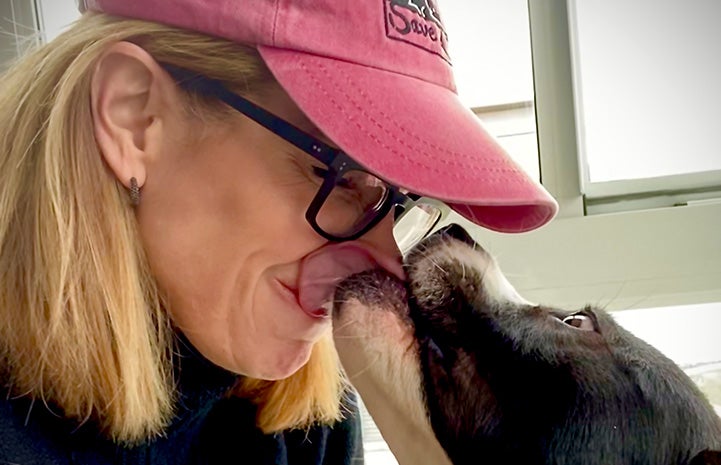 Oreo the dog giving a kiss to his foster mom who is wearing a pink hat