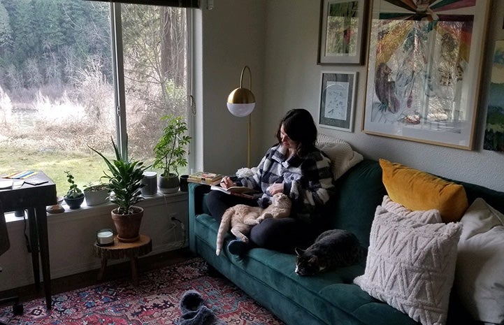 Zion the cat in the lap of his new person, who is sitting on a couch next to a window