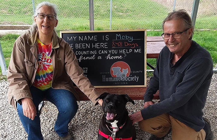 Man and woman sitting down next to dog in front of sign saying how long Moby had been at the shelter