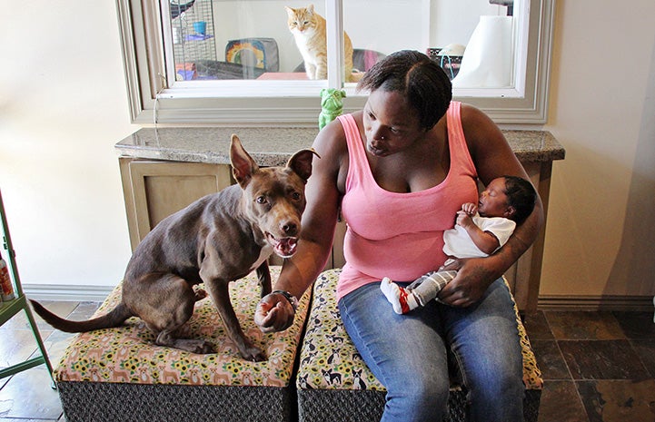 Woman holding a newborn baby sitting on a couch next to Nae Nae, her pit-bull-type dog
