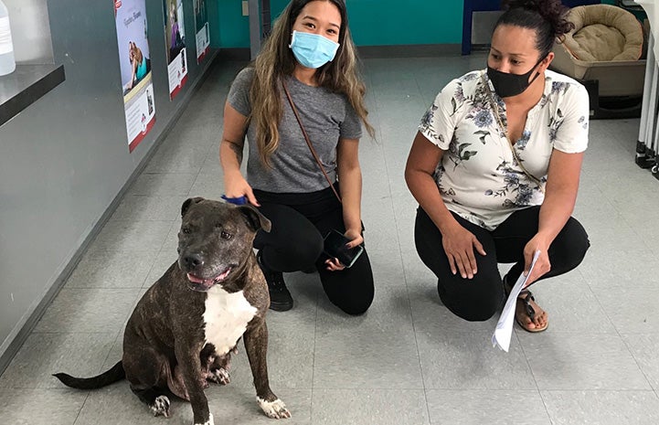 Addison the dog sitting next to the two people she's being reunited with