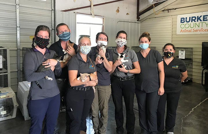 Group of people wearing masks and holding kittens