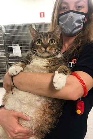 Masked woman holding Lasagna the chunky kitty