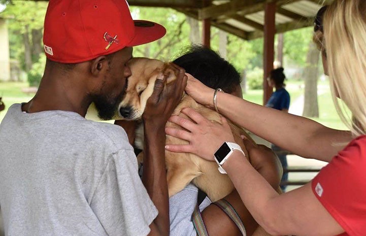 Person wearing a red hat kissing a small brown dog