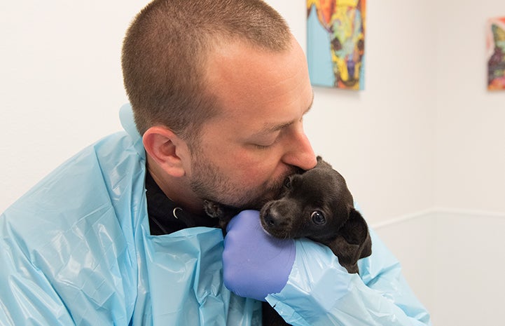 Man in a protective gown and gloves kissing a black puppy