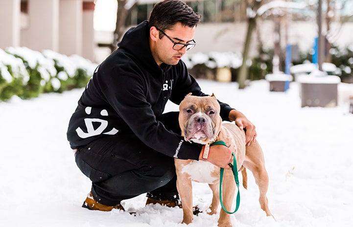 Megatron, an older tan and white pit-bull-type dog with cropped ears, next to a man wearing a Best Friends sweatshirt in the snow