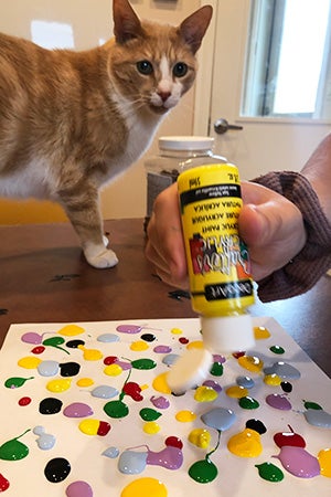 Orange and white cat looking at person squirting paint on paper