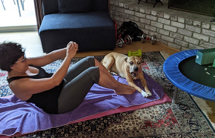 Boxy Brown the dog on the floor next to a person doing yoga