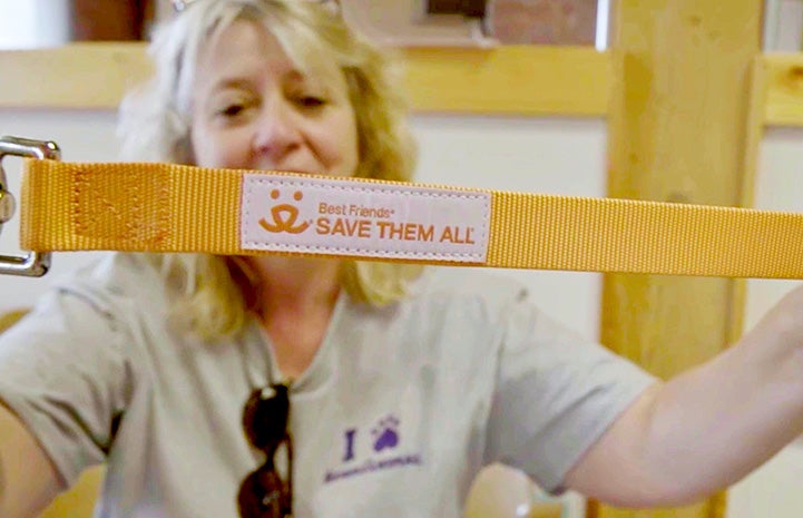 Person holding an orange Best Friends branded leash