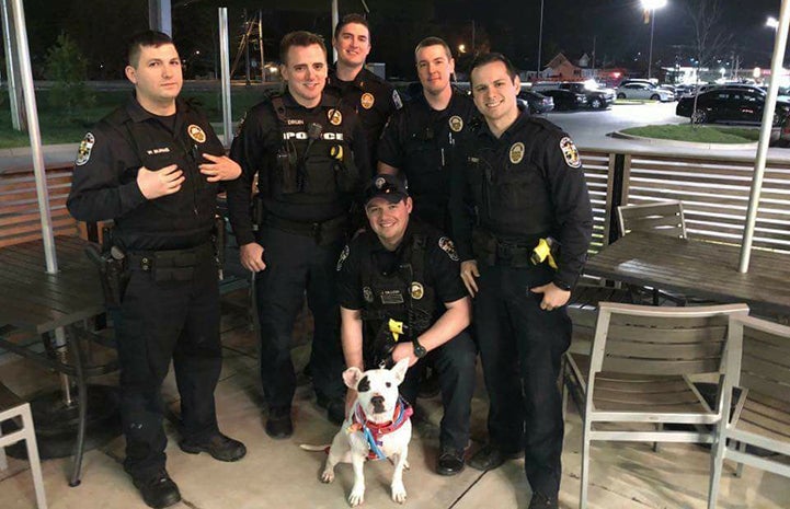 Group of police officers in the outside area of a restaurant with a white and black dog with them