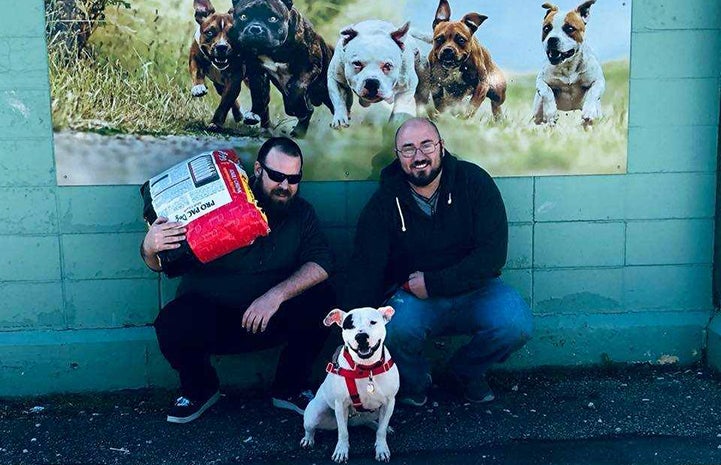Bella the dog with two officers standing in front of a wall with a dog mural