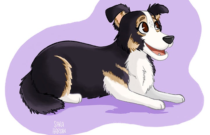 Cartoony drawing of a tri-colored collie-type dog